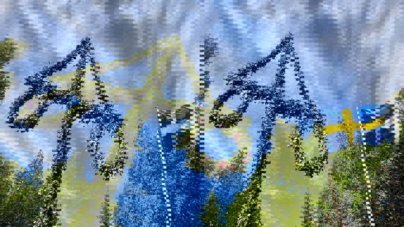 19055304 912402045564265 6106644815770442258 O